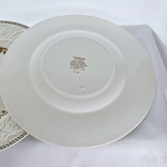 2 Wedgwood Golden Ivy Dinner Plates 10.5" Laurel Rim raised relief England - Picture 6 of 14